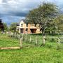 Semington-Dock-Gallery-2022-06